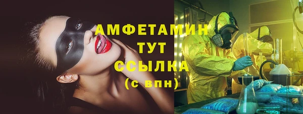 мдпв Володарск