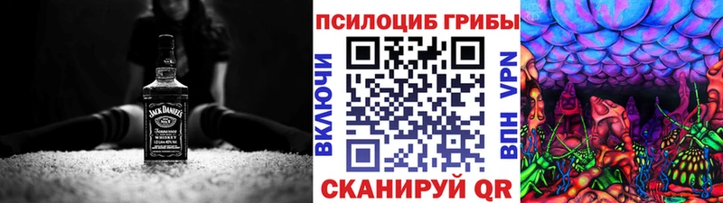 Галлюциногенные грибы Psilocybine cubensis  Данилов 